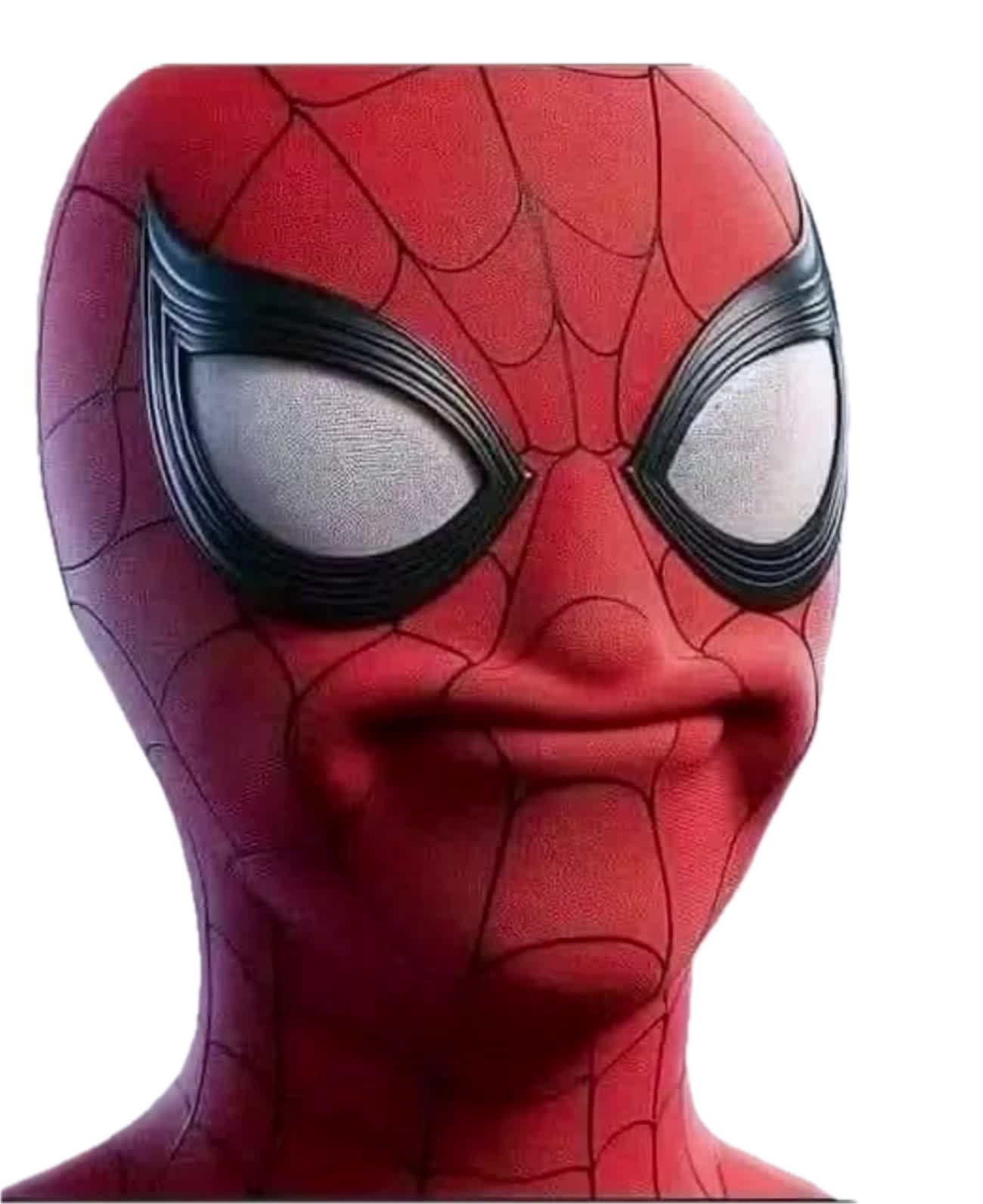 Spidermeh